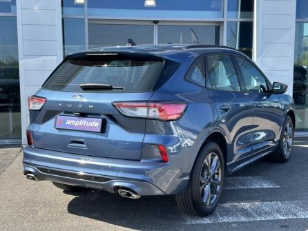 FORD Kuga 1.5 EcoBlue 120ch ST-Line Business Powershift à vendre à Gien - Image n°5