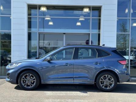 FORD Kuga 1.5 EcoBlue 120ch ST-Line Business Powershift à vendre à Gien - Image n°8