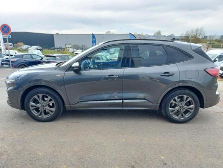 FORD Kuga 2.0 EcoBlue 190ch ST-Line Business BVA i-AWD à vendre à Dole - Image n°8