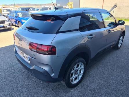 CITROEN C4 Cactus PureTech 110 Shine S&S à vendre à Saint-Claude - Image n°5
